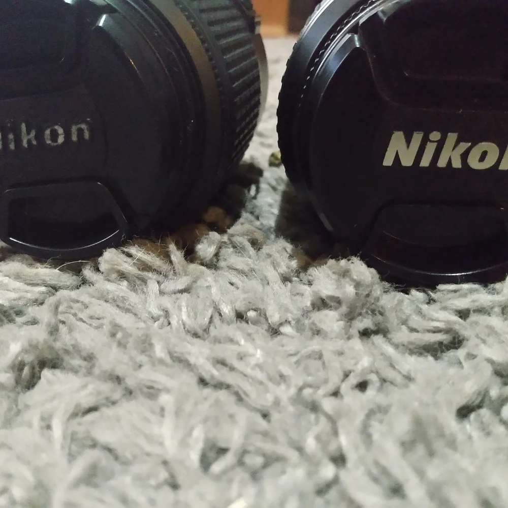Canon camera